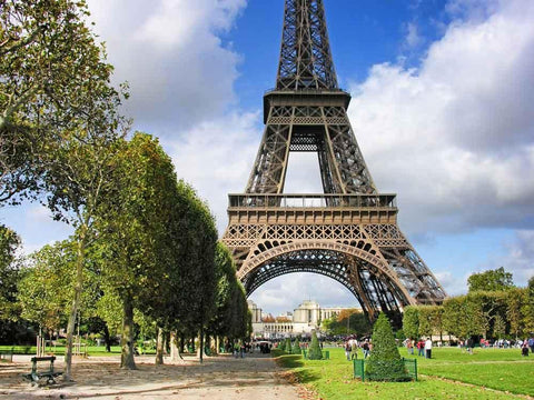 Attractions Iconic Landmarks Backdrop Eiffel Tower Background CM-5878-E