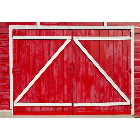 Red Retro Wood Barn Door Backdrop for Photo Booth G-556