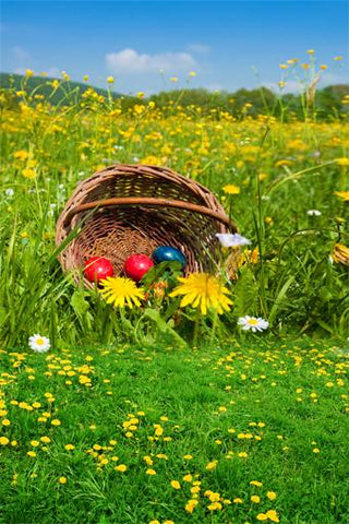Easter Basket Eggs Yellow Little Fowers Backdrop for Photography GE-048