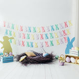 Easter Decorations Easter Eggs Bunny Photography Background S-3238