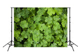 Saint Patrick's Day Green Leaves Photo Backdrop SH167