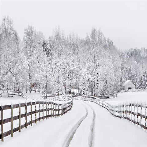Nieve de Invierno Carretera Bosque Telón de Fondo para Fotomatón ST-439