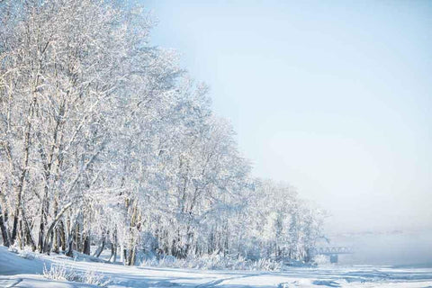 Festival Backdrops Winter Photography Backdrops Snow Background WY00266-E