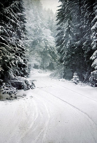 Paisaje de Nieve de Invierno Carretera Bosque Telón de Fondo de Fotografía LV-873