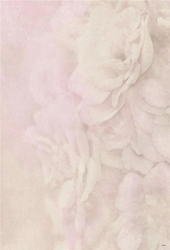 Pink Soft Rose Floral Photography Backdrop GA-56