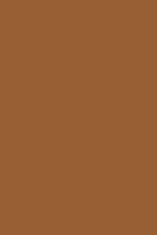 Brown Solid Color Photography Backdrop for Photo Studio SC55-1