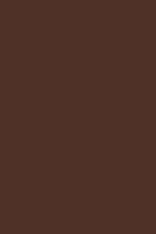 Chocolate Solid Color Photography Backdrop for Photo Studio SC56-1