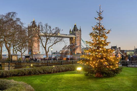 Christmas Tree Lights Garden Decor Backdrop for Photography DBD-19402