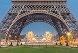 Eiffel Tower Backdrop Night Lights Paris City Landscape Backdrop for Pictures D125