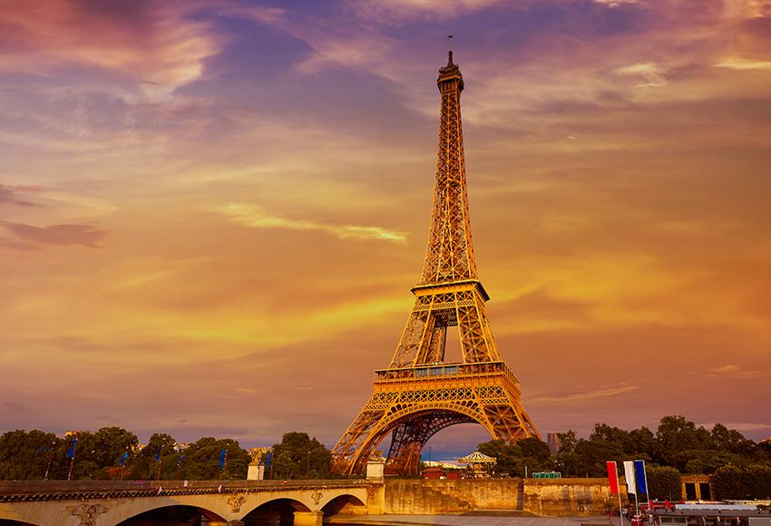 Paris Eiffel Tower Sunset View Backdrop for Photo Studio D126