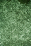 Abstract Green Cement Mortar Backdrop for Pictures D154