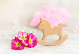 Girl Baby Shower Flower Cockhorse Photography Backdrop D280