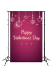 Happy Valentine's Day Red Photography Backdrop D441