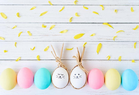 Colorful Easter  Eggs White Wood Wall Backdrop for Photography D501