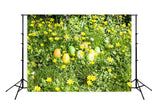 Yellow Spring Flowers Easter Eggs Green Grass Photo Studio Backdrop SH568