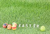 Spring Green Grass Easter Eggs Photo Booth Backdrop SH575