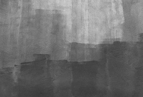 Telón de Fondo Abstracto de Pared Blanco Negro de Arte para Fotografía D67