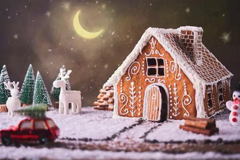 Christmas Winter Gingerbread House Snow Backdrop for Photo Booth D672