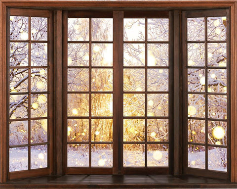 Winter Snow Scene Window Photography Backdrop 