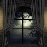 Fondo-de-Halloween-con-ventana-a-la-luz-de-la-luna-de-la-mansión-D911