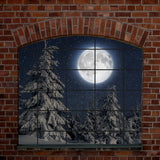 Ventana exterior Abeto Luna Invierno Tel¨®n de fondo D948