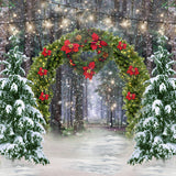 Fondo de arco de ¨¢rbol de Navidad de bosque de invierno D972