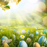 Huevos de Pascua Césped Verde Sol Primavera Telón de Fondo para Fotografía LV-1715