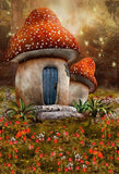 Mushroom House Alice Theme Party Photography Backdrops F-162
