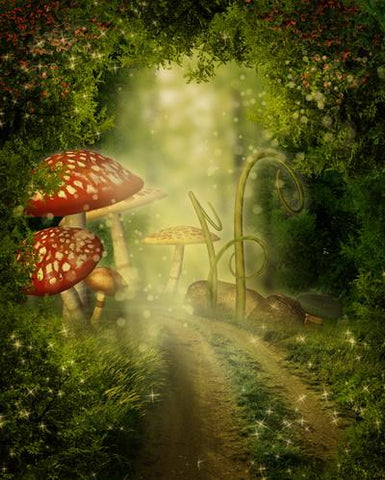 Mushroom Night Forest Fairytale Backdrop for Photography F-170