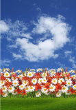 Spring  Flowers Blue Sky Backdrop for Photography F-2330