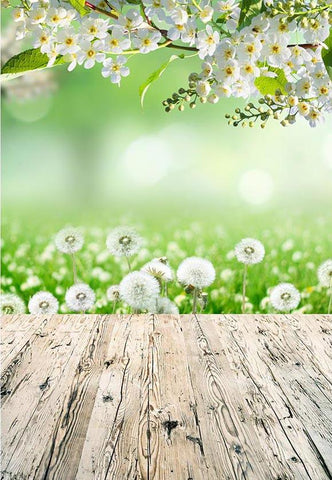 White Flowers Dandelion Nature Scenery Photography Backdrop F-2359