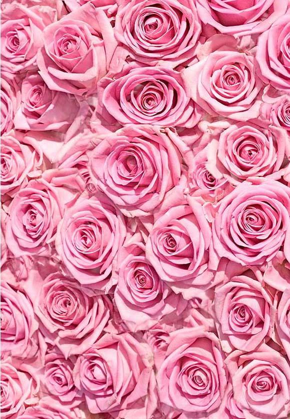 Pink Floral Picture Backdrop for Party Events Decorations  F-2382