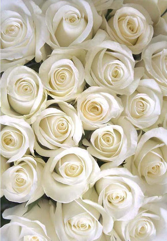 Imagen Floral Blanca Telón de Fondo para Cumpleaños y Bodas F-2387