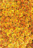 Yellow Flowers Wall Floral Photo Booth Backdrop F-2388