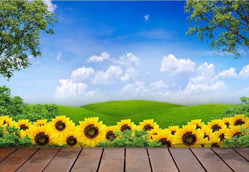 Sunflowers Wood Floor Nature Photo Booth Backdrop F-2389