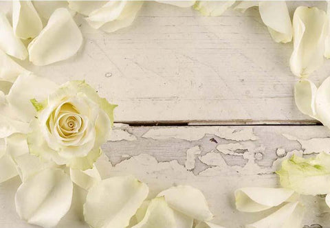 Yellow Flower White Wood Floor Photo Backdrop F-2431