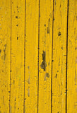 Textura de Madera Amarilla Vintage Telón de Fondo para Fotografía Floor-103