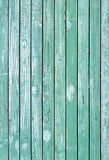 Textura de Madera Verde Retro Telón de Fondo para Fotografía Floor-110