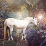 Unicorn Forest Backdrop for Photography G-544