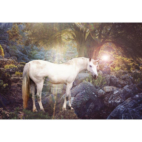 Unicorn Forest Backdrop for Photography G-544
