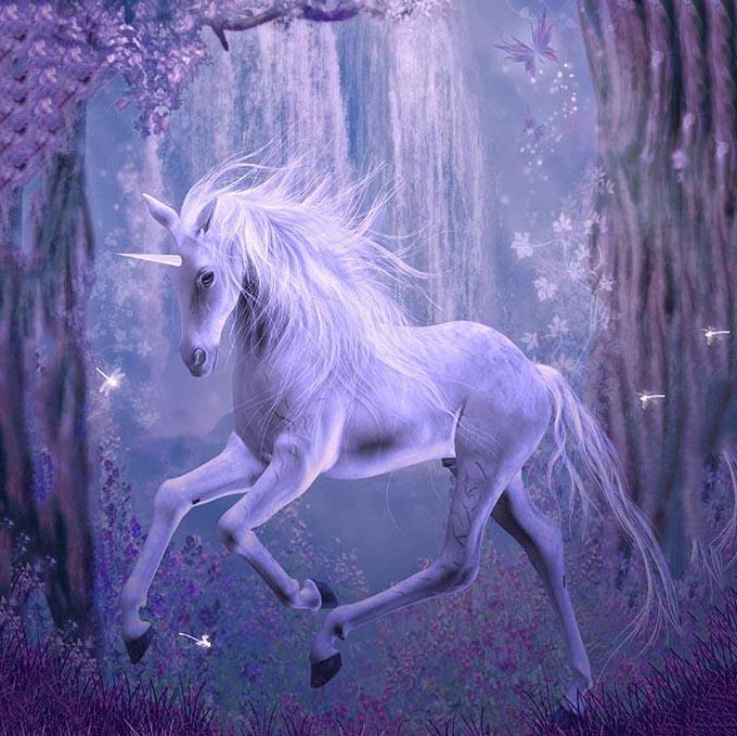 Unicorn Forest Backdrops for Photo Booth G-546