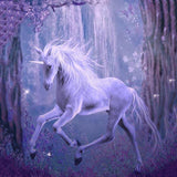Unicorn Forest Backdrops for Photo Booth G-546