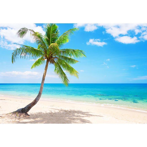 Coconut Tree Beaches Ocean Photo Backdrops  G-588