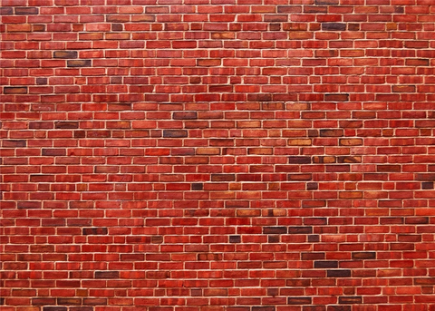 Red Brick Wall  Photography Studio Backdrop  G-59