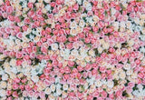 Patterned Backdrops Flower Backdrop Pink And White Backgrounds G-606