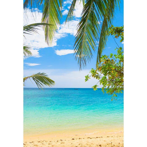 Beach Ocean Coconut Tree Photography Backdrop G-614