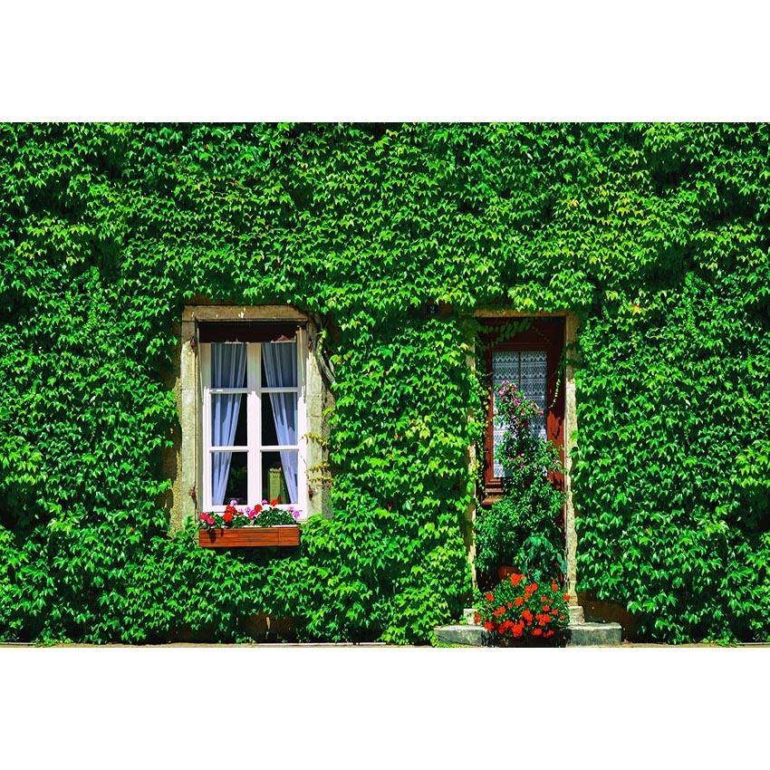 Window Door Green Plants Decoration Backdrop for Photo Studio  G-669