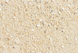 Sandy Beach Summer Holiday Photo Backdrop GA-42