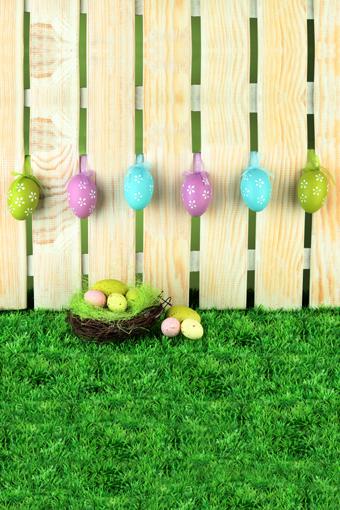 Easter Eggs Spring Green Grass Backdrop for Party Photography GE-020