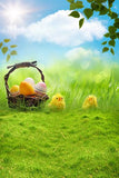 Easter Eggs Basket Spring Green Grass Backdrop for Photo Studio GE-027